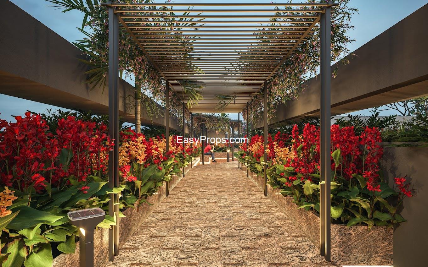 2025-01-20 (6)_20250225173951523.jpg